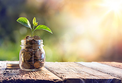 A plant growing in a jar of coins represents how Risk Management can help to keep your investments healthy